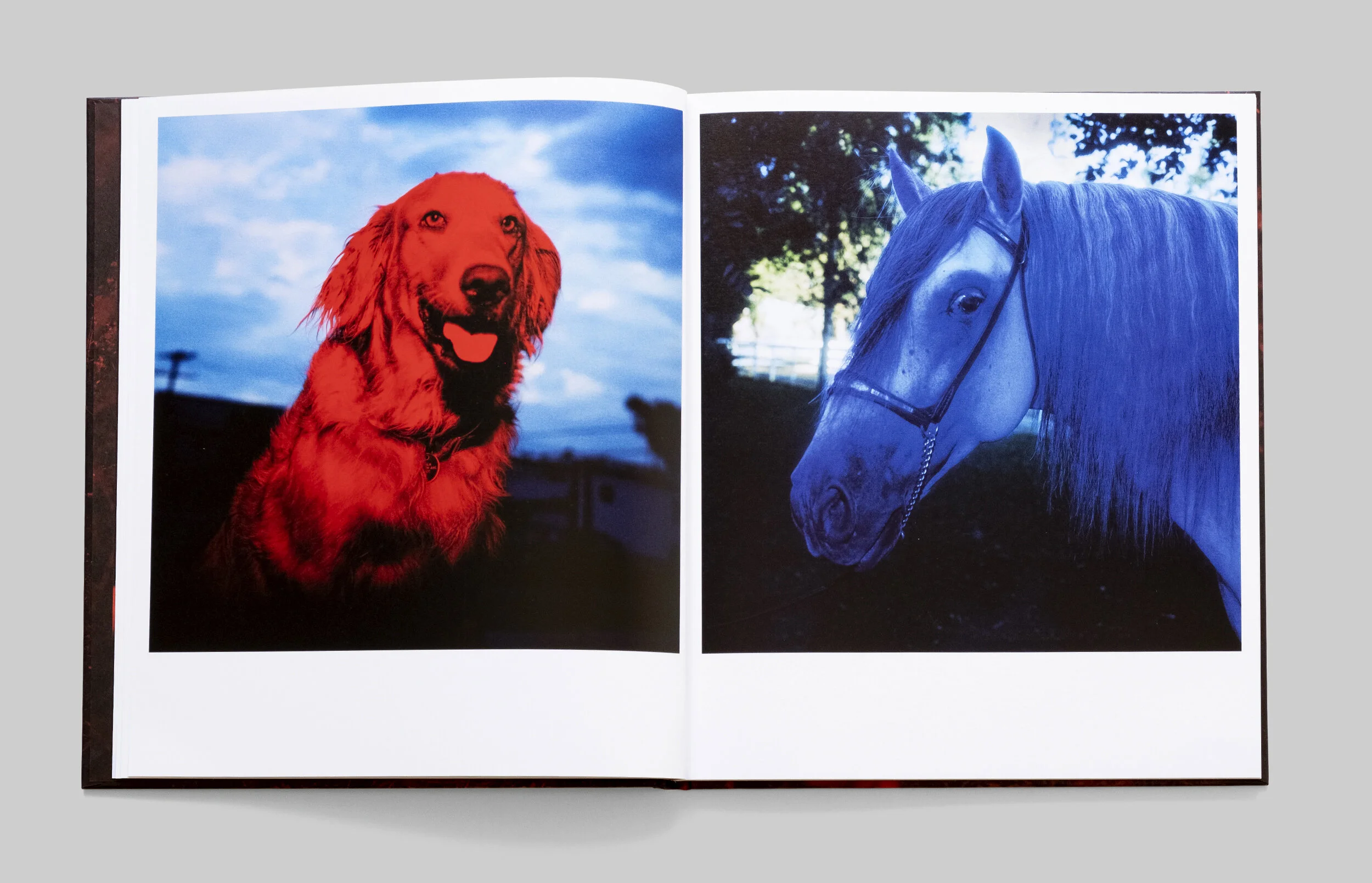 JOHN DIVOLA CHROMA — SKINNERBOOX